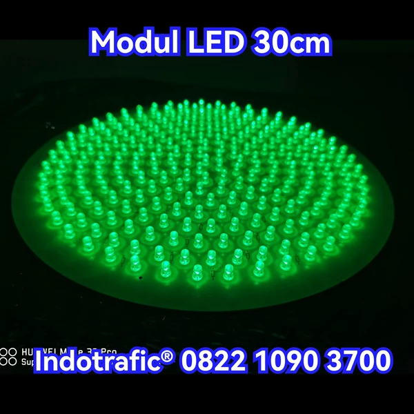 Traffic Light LED Module Lamp