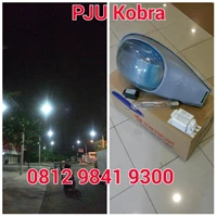 Lampu PJU Kobra E40 + SON-T 250W