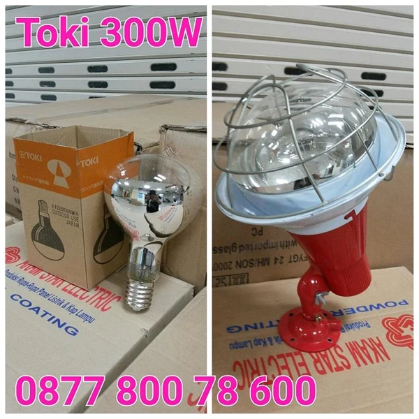 Light Bulb 300W Toki