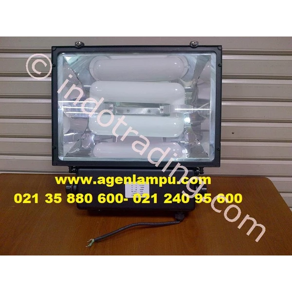 Induction Lamp Floodlight 100W