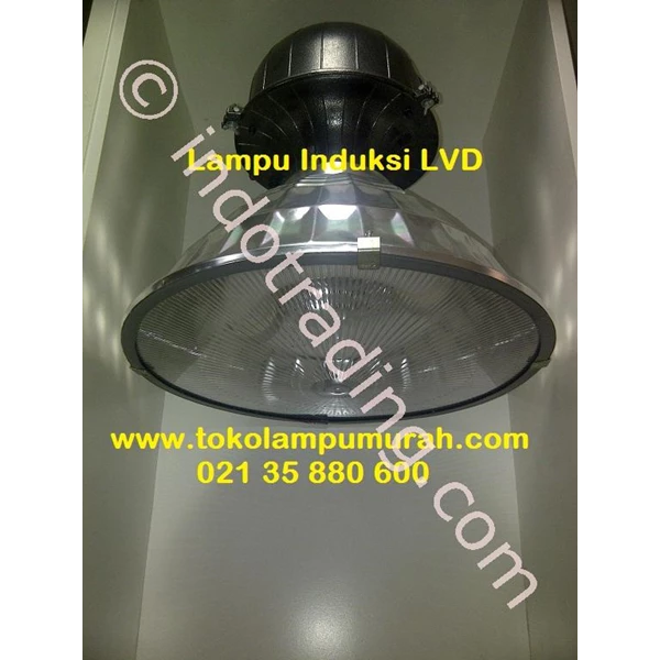 LVD Induction Lamp 80W