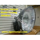 Floodlight Induction Lamp 300W 1