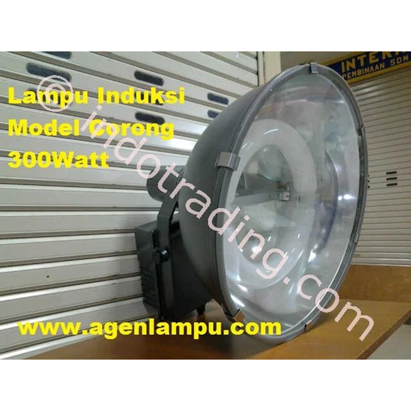 Floodlight Induction Lamp 300W