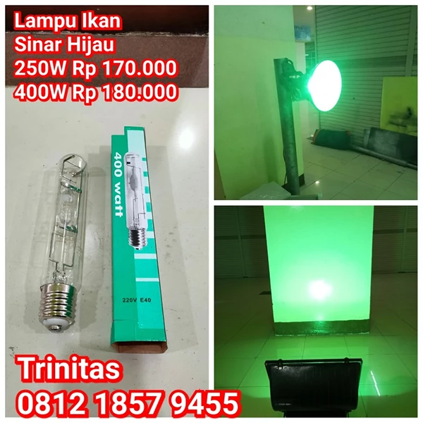 MH Lamp Green
